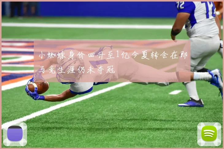 小蜘蛛身价回升至1亿今夏转会在即马竞生涯仍未夺冠