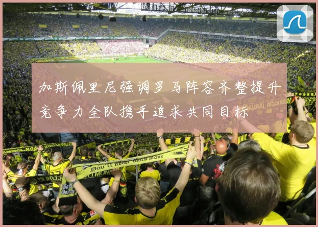 加斯佩里尼强调罗马阵容齐整提升竞争力全队携手追求共同目标