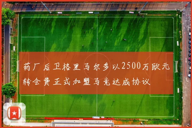 药厂后卫格里马尔多以2500万欧元转会费正式加盟马竞达成协议